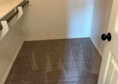 Professional Home Cleaner