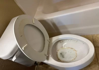 Reliable Cleaning Specialists